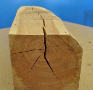 Пороки древесины и как с ними бороться